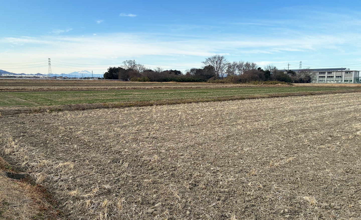 美里町　視察農地